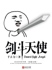 剑斗天使 小说
